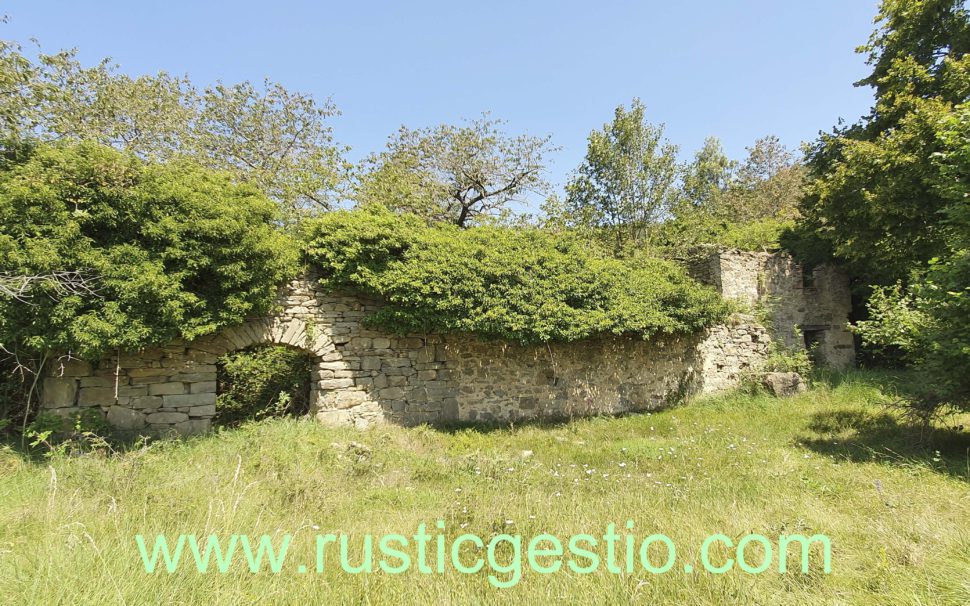 Finca rústica amb masia en runes a Ripoll (Ripollès)