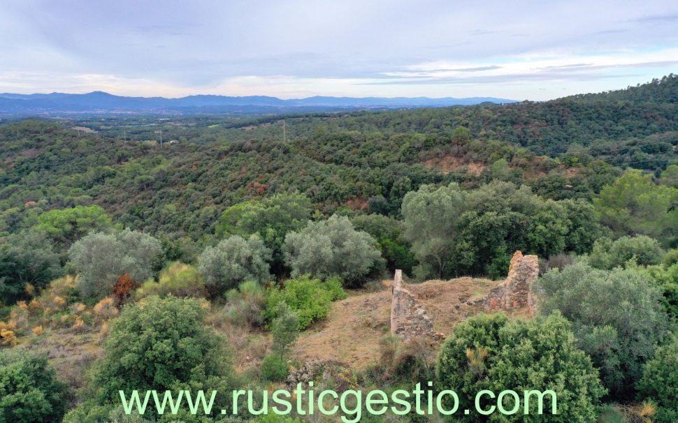 Finca rústica amb masia a Sant Pere de Vilamajor (Vallès Oriental)