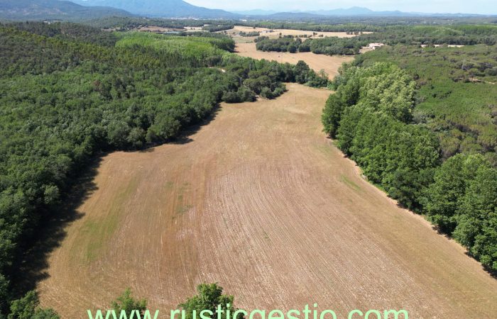Finca rústica agrícola/forestal a Riudarenes (La Selva)