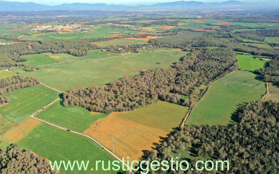 Finca rústica amb masia i granja a Navata (Alt Empordà)