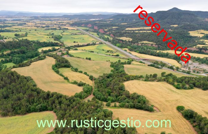 Finca agrícola y forestal en Artés (Bages)