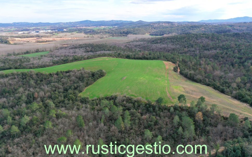 Finca rústica agrícola/forestal en Riudarenes (La Selva)