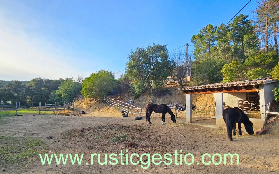 Finca rústica amb masia a Sant Feliu de Buixalleu (La Selva)