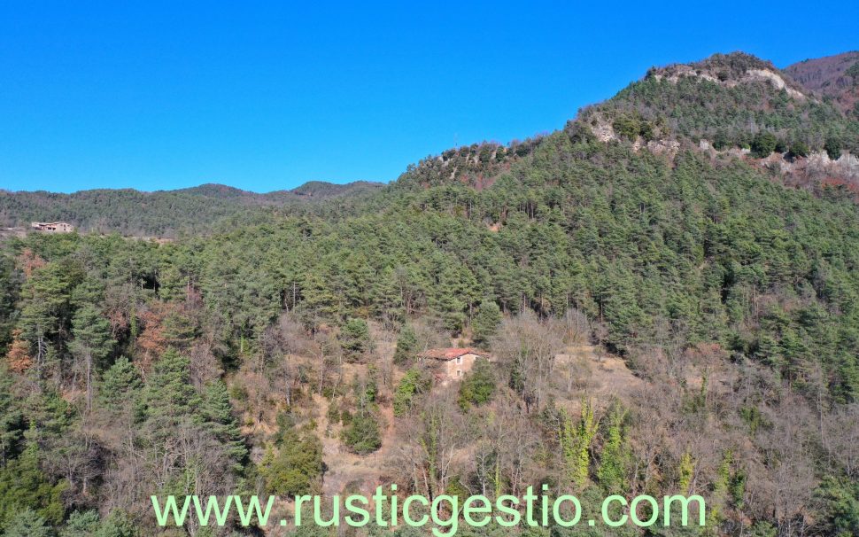 Finca rústica forestal con masía a Ripoll (Ripollès)