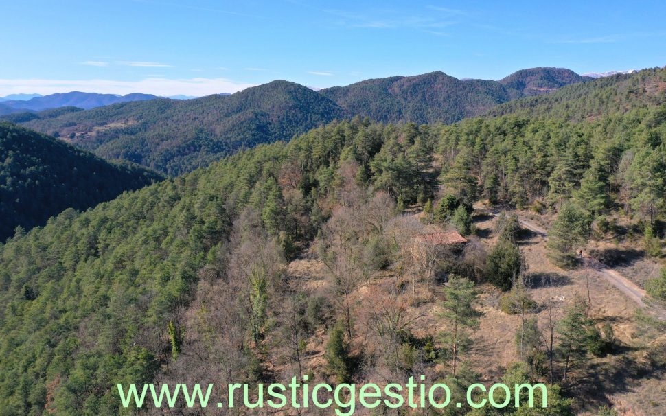 Finca rústica forestal con masía a Ripoll (Ripollès)