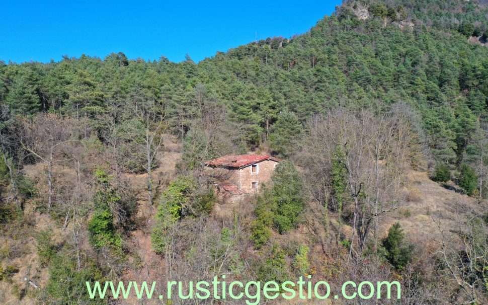 Finca rústica forestal con masía a Ripoll (Ripollès)