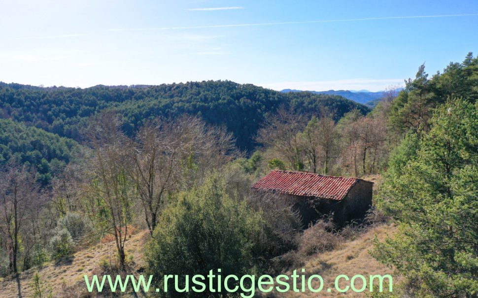 Finca rústica forestal con masía a Ripoll (Ripollès)