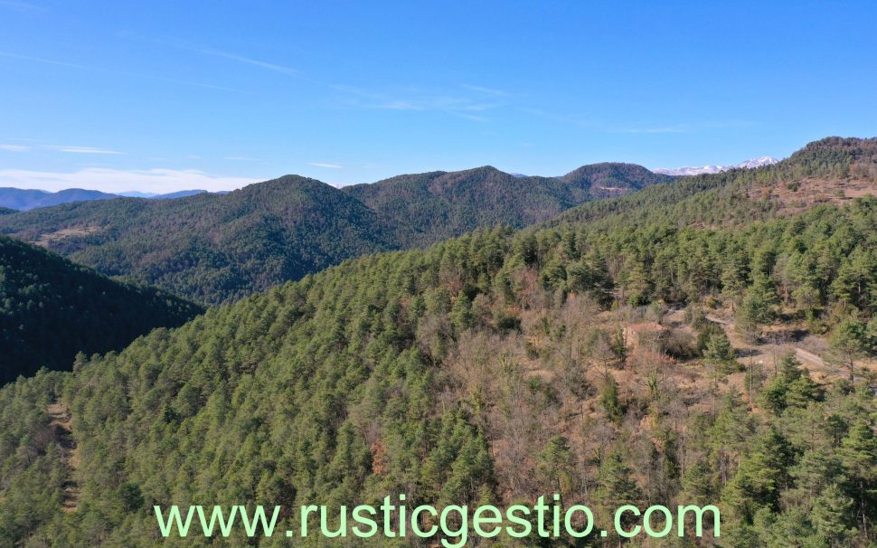 Finca rústica forestal con masía a Ripoll (Ripollès)