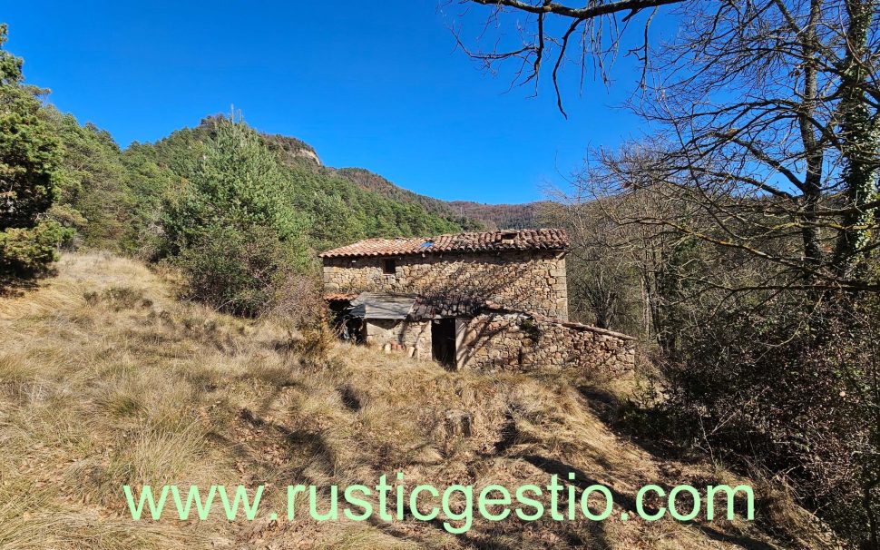 Finca rústica forestal con masía a Ripoll (Ripollès)