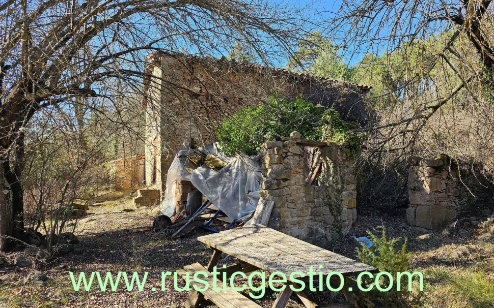 Finca rústica forestal con masía a Ripoll (Ripollès)