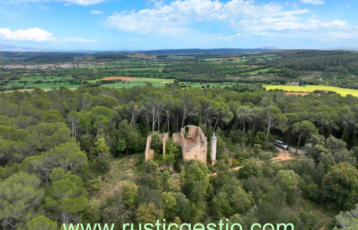 Finca rústica amb ermita i masia a Vilademuls (Pla de l’Estany/Alt Empordà))