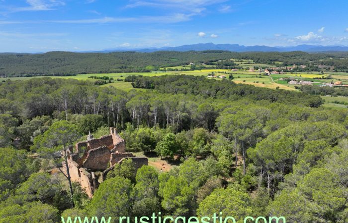 Finca rústica con ermita y masía en Vilademuls (Pla de l’Estany/Alt Empordà)