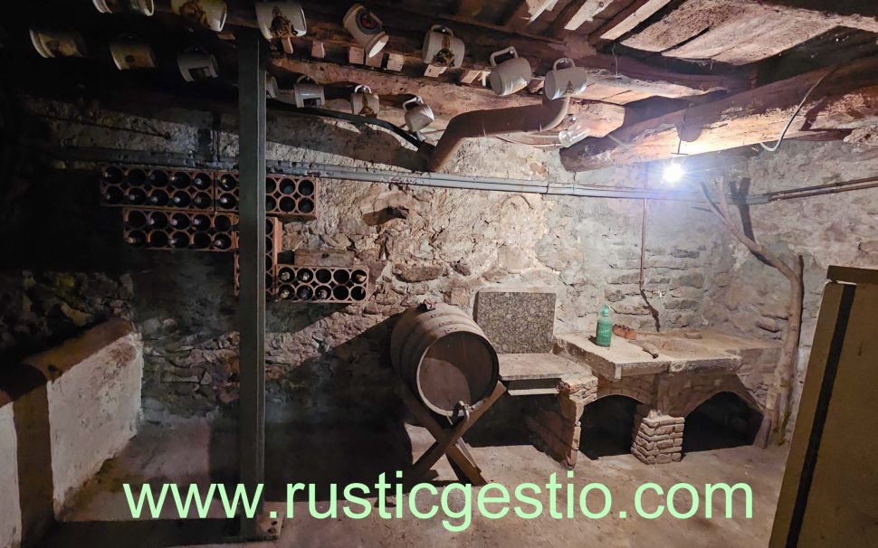 Finca rústica de 134 Has. amb masia a Ripoll (Ripollès)