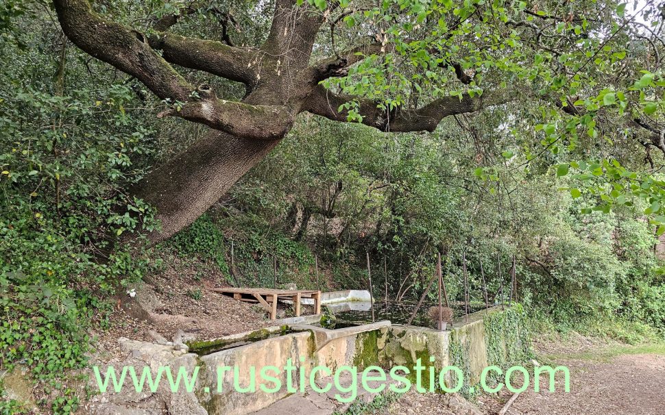 Finca rústica con masía de Begudà / Olot (Garrotxa)