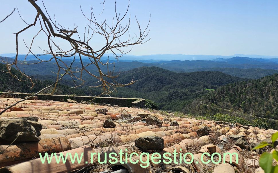 Finca rústica amb Castell i diverses masies a Les Llosses (Ripollès)