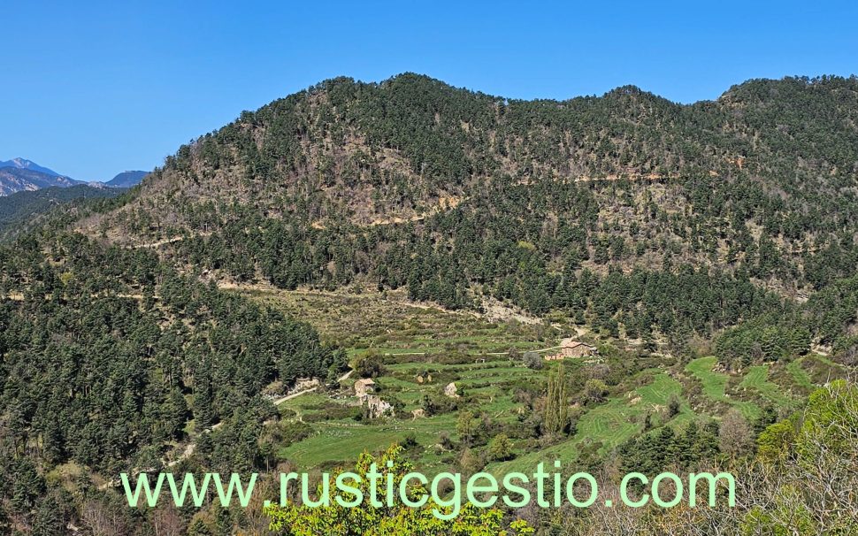 Finca rústica amb Castell i diverses masies a Les Llosses (Ripollès)