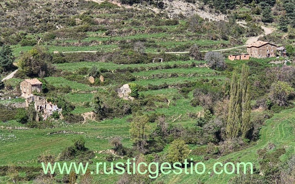 Finca rústica amb Castell i diverses masies a Les Llosses (Ripollès)