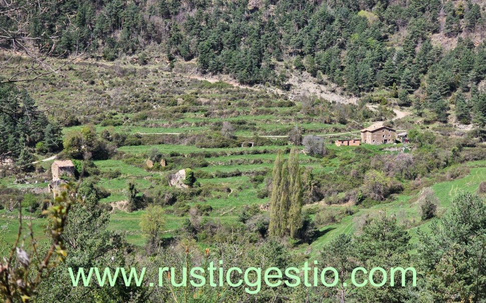 Finca rústica amb Castell i diverses masies a Les Llosses (Ripollès)