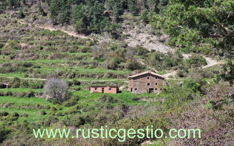 Finca rústica amb Castell i diverses masies a Les Llosses (Ripollès)