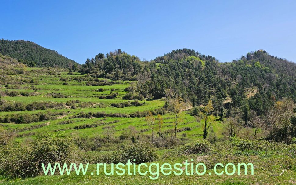 Finca rústica amb Castell i diverses masies a Les Llosses (Ripollès)