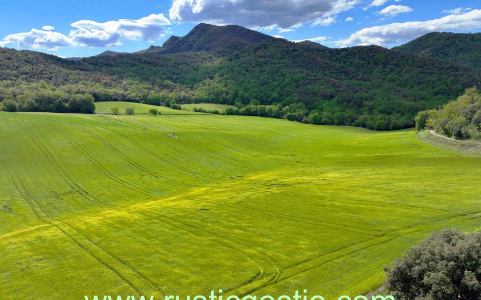 Finca rústica agrícola y forestal en Begudà (Sant Joan les Fonts)