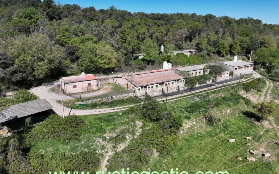 Finca rústica con masía y granja en Tavèrnoles (Osona)