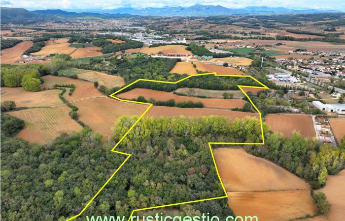 Finca rústica amb masia en runes a Cornellà de Terri (Pla de l’Estany)