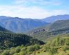 Finca rústica forestal a Guardiola de Berguedà (Berguedà)