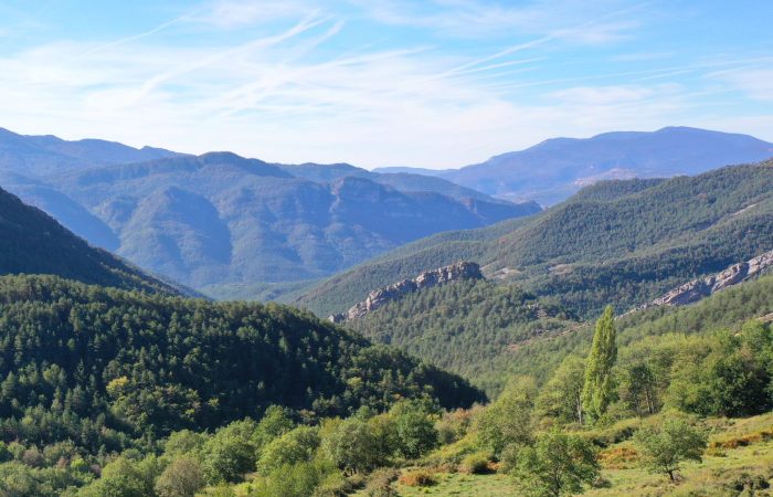 Finca rústica forestal en Guardiola de Berguedà (Berguedà)