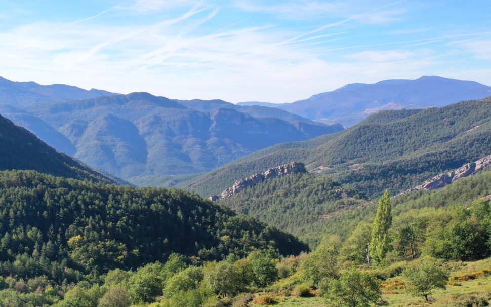 Finca rústica forestal a Guardiola de Berguedà (Berguedà)