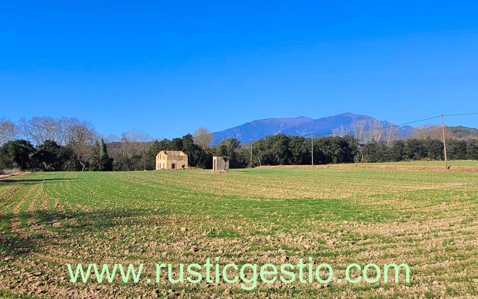 Finca rústica con masía en ruinas en Breda (Barcelona)